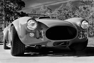$Shelby Cobra BW.webp
