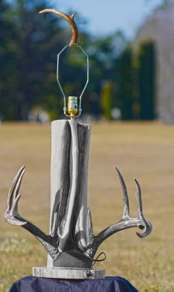 $AntlerLampHorizonCorrected_SelectiveGray_small.webp