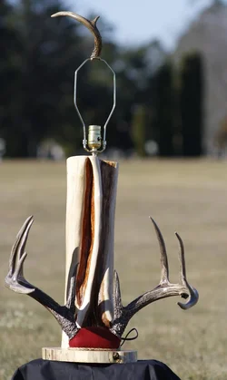 $AntlerLampHorizonCorrected_small.webp