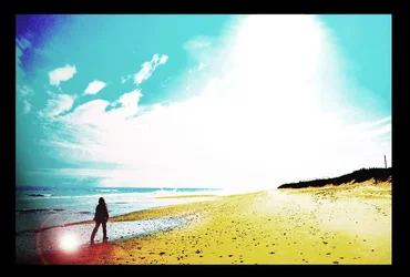 $alyssabeachart.webp