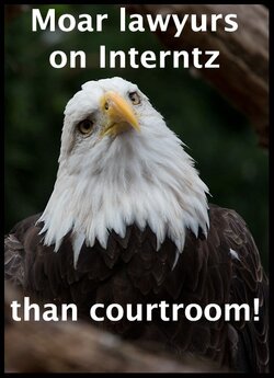 $internet lawyer meme.jpg