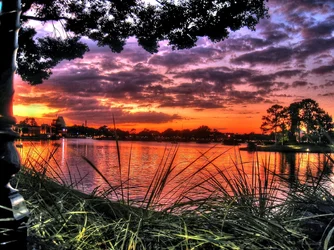$Sunset-tonned.webp
