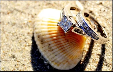 $rings.webp $rings.webp