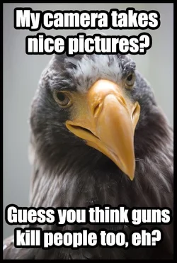 $eagle meme 2.webp