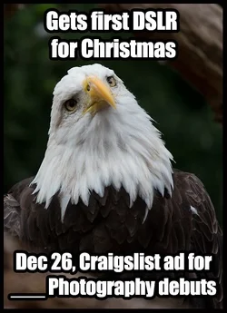 $eagle meme 3.webp