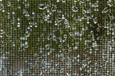 $last nights rain tpf.webp