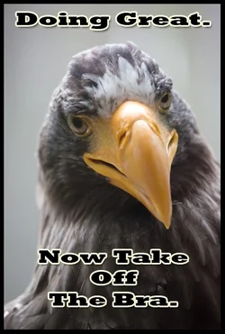 $birdmeme11.webp