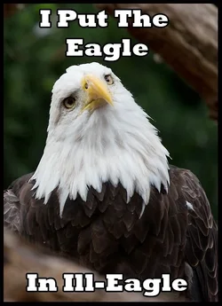 $birdmemeA6.webp