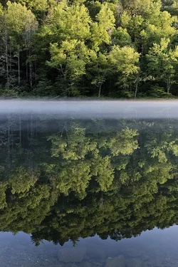 $fontana lake vertical fog-reflection tpf.webp
