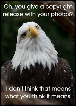 $meme pic2.webp