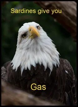 $8236899738_77089496f6_o.webp