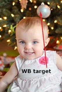$target.webp $target.webp