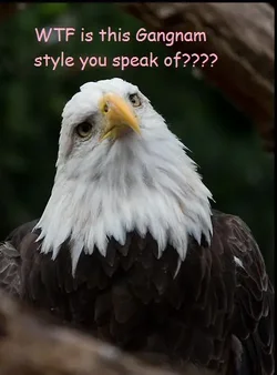 $gangnam eagle.webp