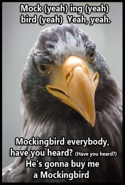 $birdmeme12.webp