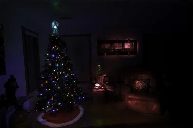 $Painting With Light-28.webp
