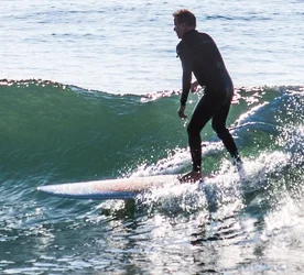 $surfer-L.webp
