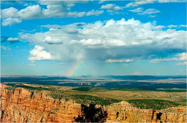 $rainbow-preview.webp