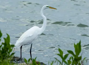 May-lake-walk-36.webp