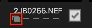 nikon-transfer2.webp