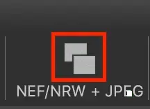 nikon-capture-twofiles.webp