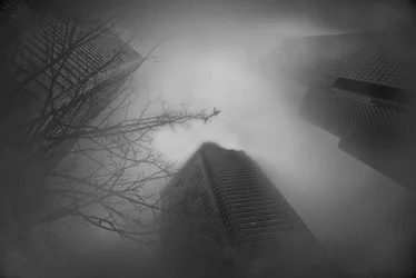 $building fog.webp