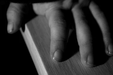 $hand.webp