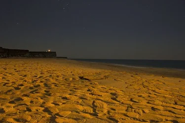 $Jiwani Beach.webp