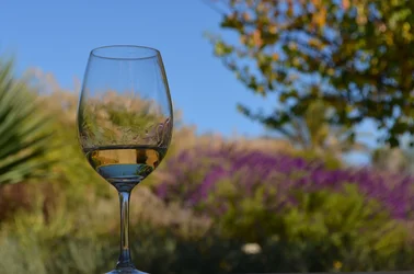 $Wine.webp