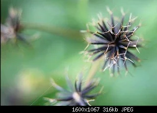 $IMG_0446.webp