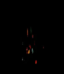 $_DSC0001adjusted.webp