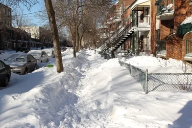 $Snow_121228_0945.webp
