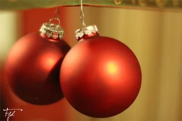 $12-28-12_3.webp $12-28-12_3.webp