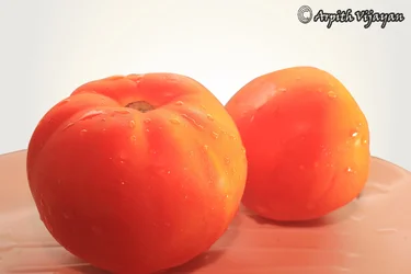 $tomato.webp
