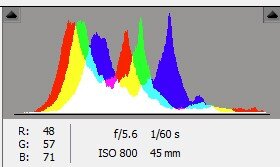 $Histo 2.jpg