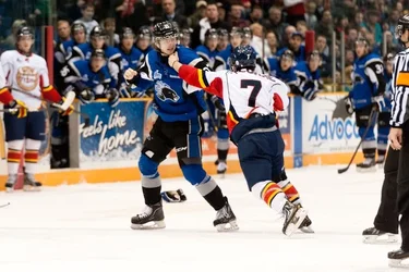 $SJSeaDogs_ChrisParent-7005287.webp