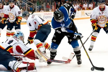 $SJSeaDogs_ChrisParent-7005306.webp