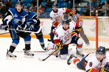 $SJSeaDogs_ChrisParent-7005332.webp