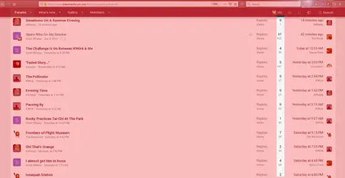 ribs.webp