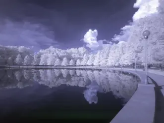 IR.webp