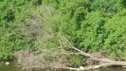 04b-Z5c-UHD-0004-2x-Crop-1800-C1.webp