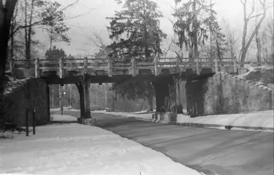 Ansco2 2.webp