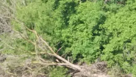 05b-Z3c-UHD-0005-4x-Crop-1800-C1.webp