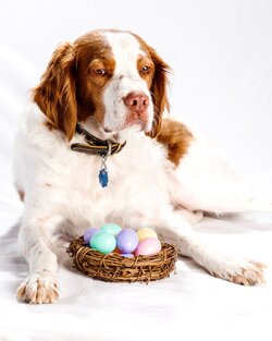 Easter03162018_562-Edit.jpg