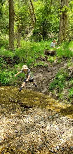 20190605_124655.webp