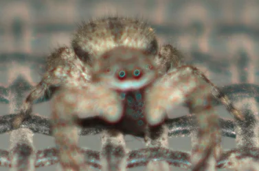 Jumper screwup.webp