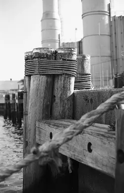 Dock Piling.webp