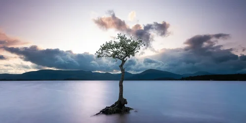 1641885719430.webp