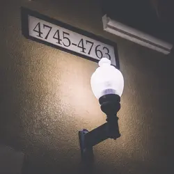 Night Walk-3.webp