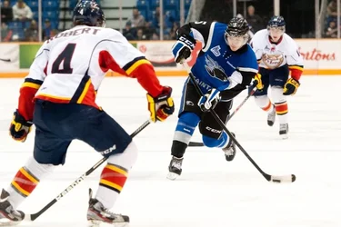 $SJSeaDogs_ChrisParent-7005388.webp