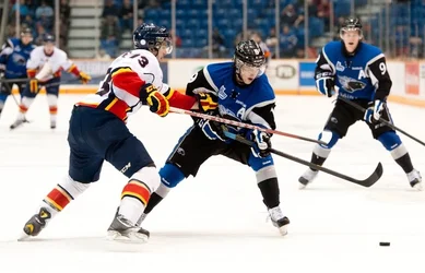 $SJSeaDogs_ChrisParent-7005403.webp